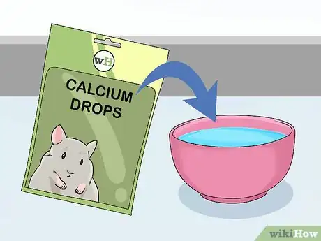 Image titled Handle Calcium Deficiency in Chinchillas Step 10