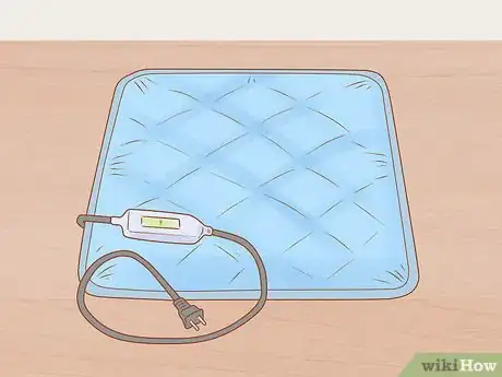 Image titled Make Daily Life Easier for a Mobility‐Impaired Cat Step 11