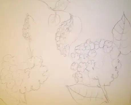 Image titled Cluster type