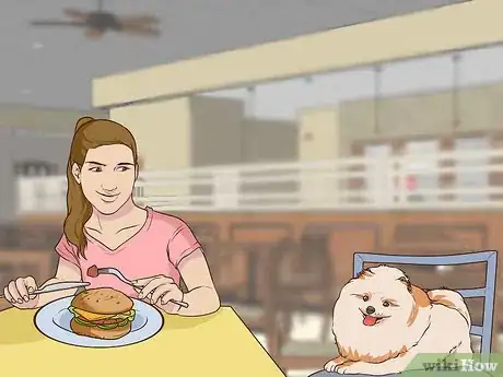 Image titled Have Fun with Your Dog Indoors Step 11