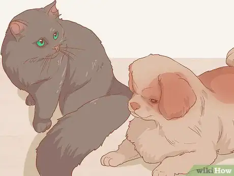 Image titled Introduce a Cat That Used to Belong to Someone Else to Your Home Step 12