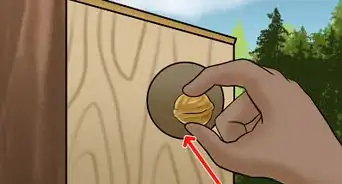 Build a Squirrel House