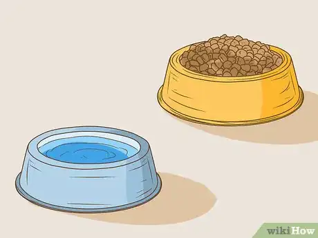 Image titled Manage Cognitive Dysfunction in Senior Dogs Step 10