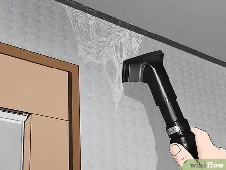 Image titled Get Rid of Spiders Outside Your Door Step 2