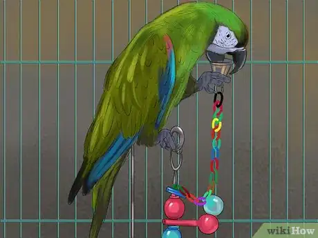 Image titled Select a Pet Parrot Step 9
