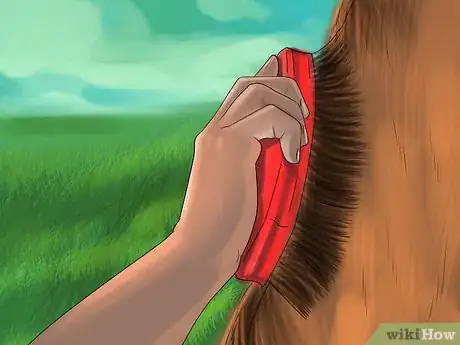 Image titled Keep a Horse Clean on a Budget Step 13
