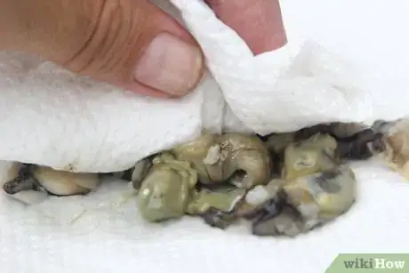 Image titled Fry Oysters Step 15