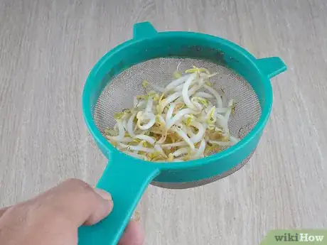 Image titled Juice Broccoli Sprouts Step 1