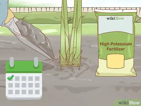 Image titled Grow Etlingera Elatior Step 8