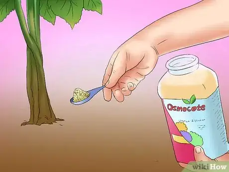 Image titled Winterize a Perennial Hibiscus Step 9