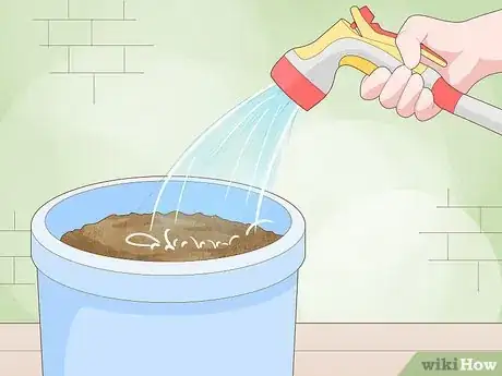 Image titled Grow Chives Indoors Step 4