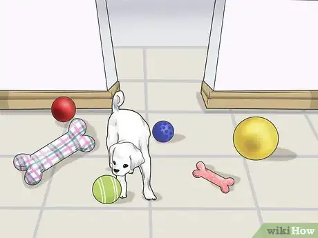 Image titled Photograph Pets Step 3