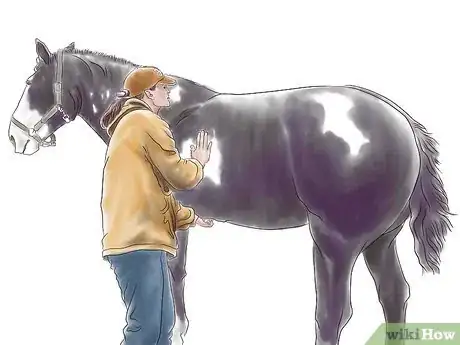 Image titled Stretch a Horse Step 12