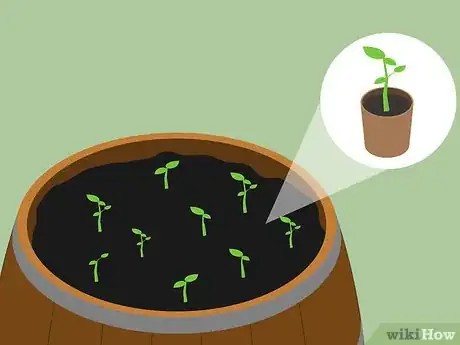 Image titled Use Wine Barrels As Planters Step 4
