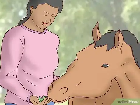 Image titled Teach a Horse to Come when Called Step 11