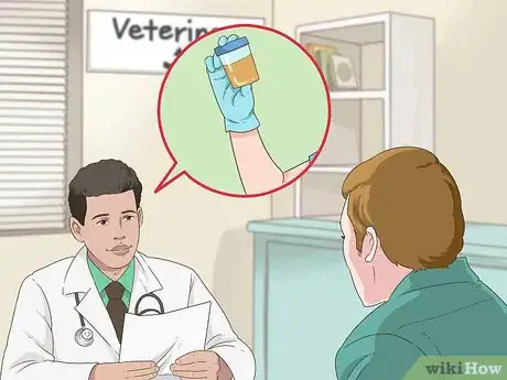 Image titled Schedule Wellness Exams for a Senior Cat Step 5