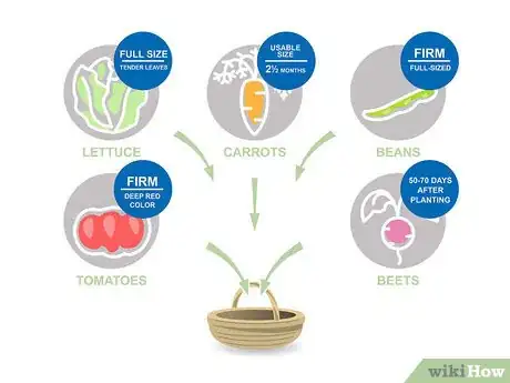 Image titled Grow Vegetables in the West Step 19