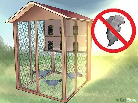 Image titled Tame Pigeons to Be out of Cage Permanently Step 10