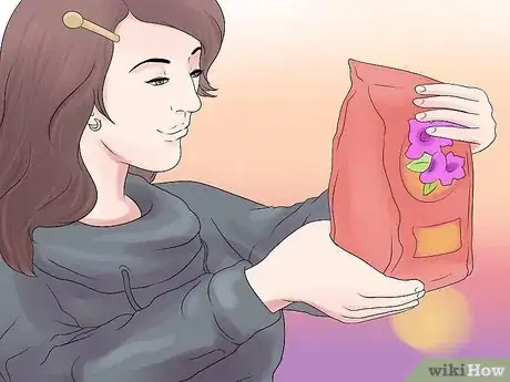 Image titled Grow Petunias Step 7