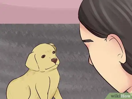 Image titled Create a Sound Reputation As a Dog Breeder Step 6