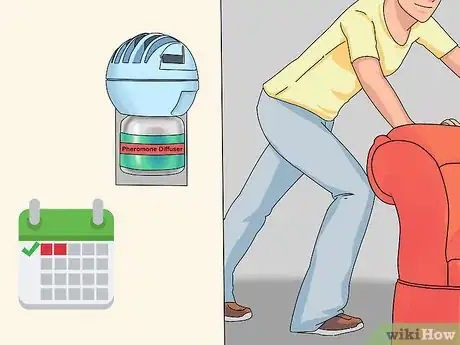 Image titled Treat Cat Behavioral Problems Using Pheromones Step 12