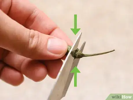 Image titled Make Harissa Step 6