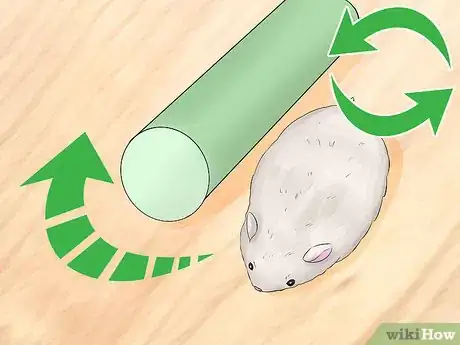 Image titled Train Your Hamster Step 5