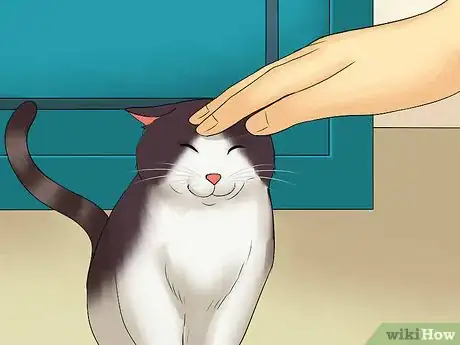 Image titled Eat Without a Cat Begging Step 3