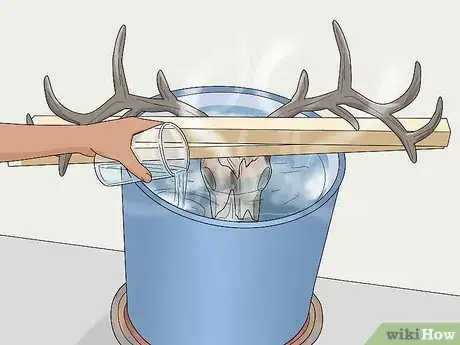 Image titled Do a European Mount Step 8