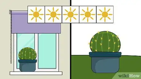 Image titled Grow Golden Barrel Cactus Step 13