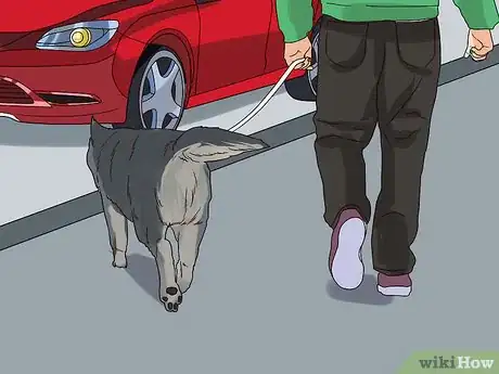 Image titled Have Fun with Your Dog Outdoors Step 2