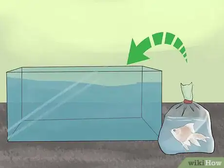 Image titled Transport Fish Step 18