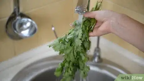 Image titled Dry Cilantro Step 1
