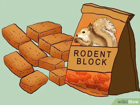 Image titled Keep a Pet Squirrel Step 5