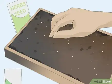 Image titled Create a Fairy Garden Step 5