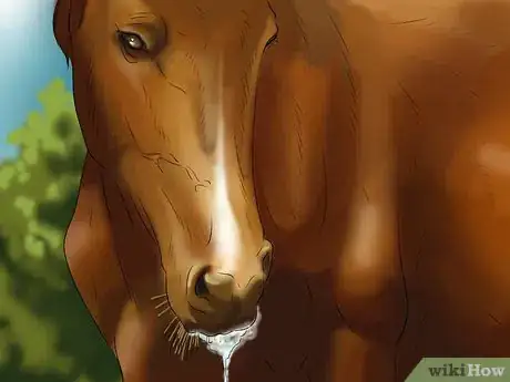 Image titled Stop Your Horse from Chewing Things Step 9