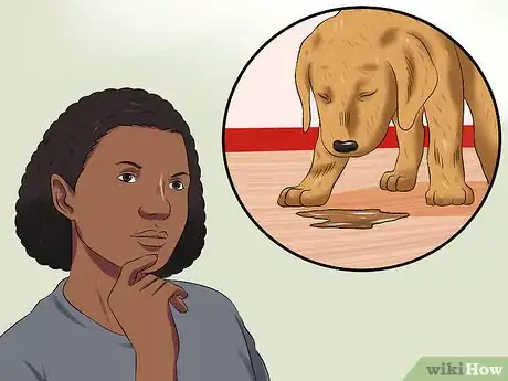 Image titled Treat Canine Coronavirus Step 11