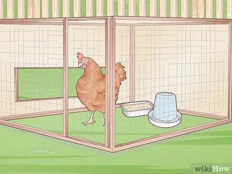 Image titled Prevent Diseases in Chickens Step 5