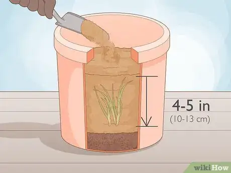 Image titled Grow Chives Indoors Step 13