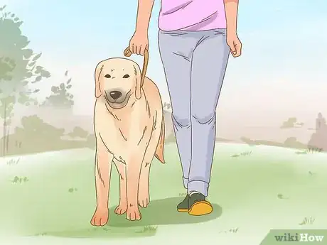 Image titled Care for a Dog Blind from Birth Step 14