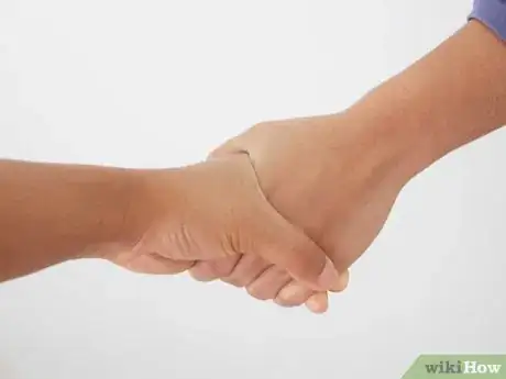 Image titled Collect Breyer Model Horses Step 11