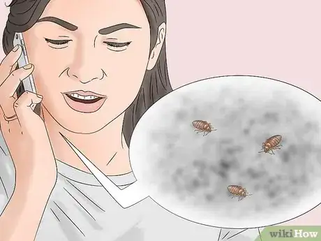Image titled Get Rid of Bed Bugs Step 1