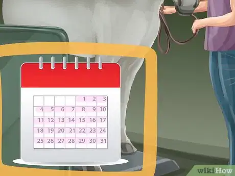 Image titled Monitor a Horse's Weight in Winter Step 4