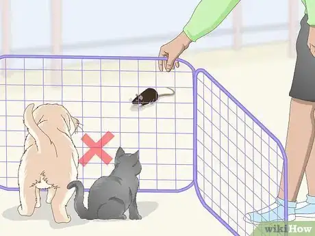 Image titled Safely Let a Mouse Out of Its Cage Step 4