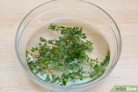 Image titled Use Marjoram Step 3
