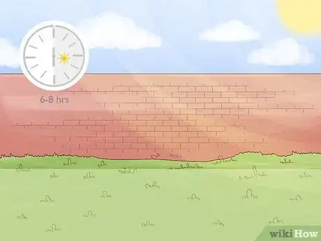 Image titled Grow Bearded Irises Step 2