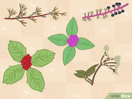 Image titled Attract Eastern Bluebirds Step 12