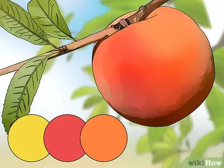 Image titled Pick Peaches Step 3