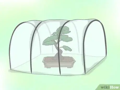 Image titled Make a Western Hemlock Bonsai Tree Step 6