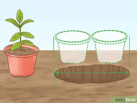 Image titled Grow Herbs Outdoors Step 8